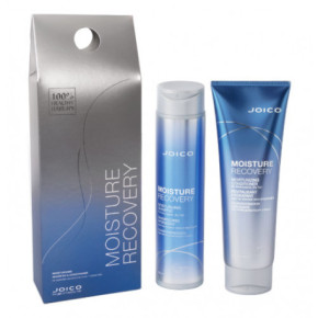 Joico Moisture Recovery Holiday Duo