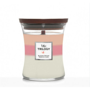 WoodWick Trilogy Blooming Orchard Candle Medium