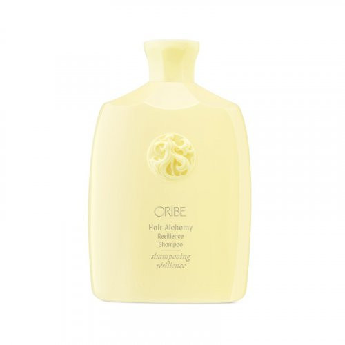 Oribe Hair Alchemy Resilience Shampoo 250ml