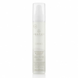 Paul mitchell Awapuhi Wild Ginger Hydromist Blow-Out Spray 150ml