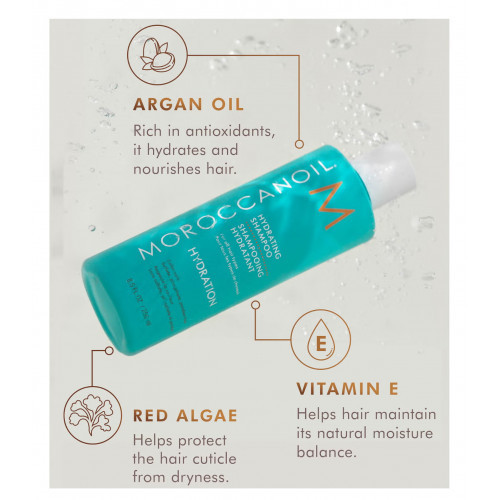 Moroccanoil Hydration Shampoo & Conditioner Duo Set