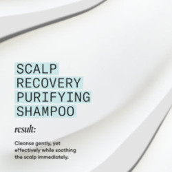 Nioxin Scalp Recovery Purifying Shampoo 200ml