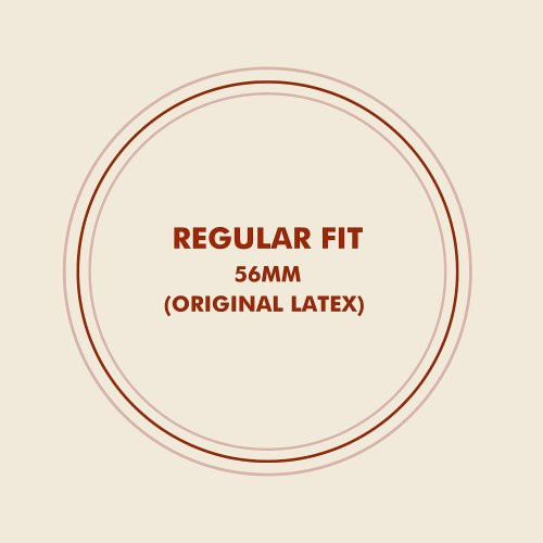 Roam Travel Bundle