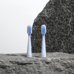 Alpine White Sonic Toothbrush Replacement Heads 2vnt