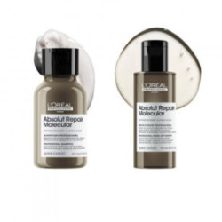 L'Oréal Professionnel Absolut Repair Molecular Hair Mini Duo Kit Set