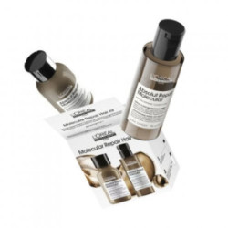 L'Oréal Professionnel Absolut Repair Molecular Hair Mini Duo Kit Set