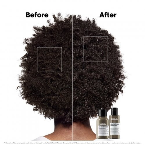 L'Oréal Professionnel Absolut Repair Molecular Hair Mini Duo Kit Set