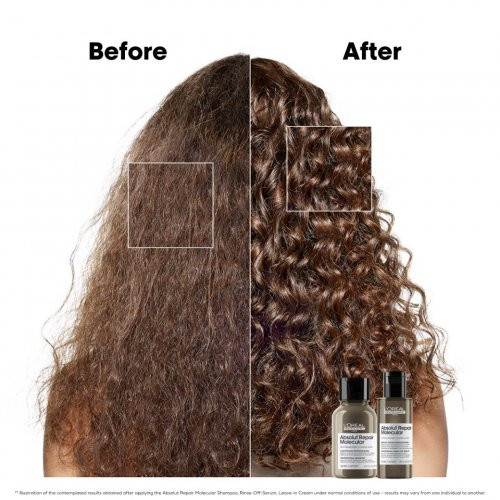 L'Oréal Professionnel Absolut Repair Molecular Hair Mini Duo Kit Set
