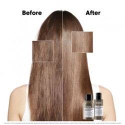 L'Oréal Professionnel Absolut Repair Molecular Hair Mini Duo Kit Set