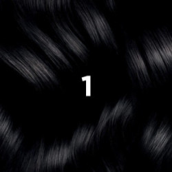 Phyto Permanent Hair Color without Ammonia 1 Black