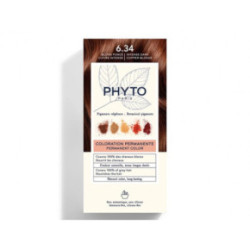 Phyto Permanent Hair Color without Ammonia 1 Black