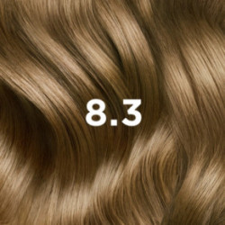 Phyto Permanent Hair Color without Ammonia 1 Black