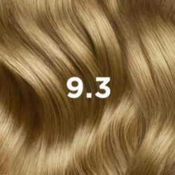 Phyto Permanent Hair Color without Ammonia 1 Black
