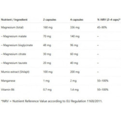 Ecosh Magnesium Complex + Mumio 90 capsules