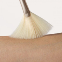 Jane Iredale Fan Brush 1 unit