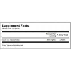 SWANSON Niacinamide 500mg Energy and Cardiovascular Support 250 kapsulių