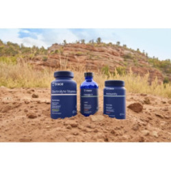Trace Minerals Immunity Gummies 60 gummies