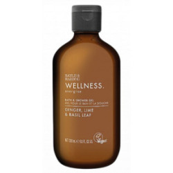 Baylis & Harding Men's Ginger & Lime Shower Gel 300ml