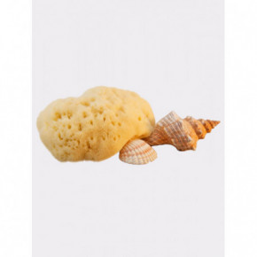 Hydrea London Fina Silk Sea Sponge For Cosmetic or Baby Use 7 cm