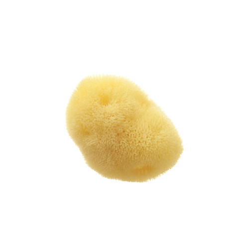 Hydrea London Fina Silk Sea Sponge For Cosmetic or Baby Use 5 cm