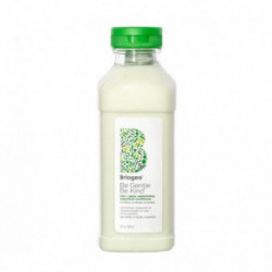 Briogeo Be Gentle, Be Kind Kale + Apple Replenishing Superfood Conditioner 369ml