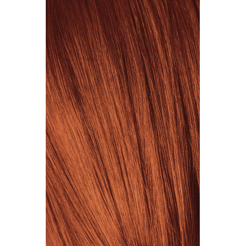 Schwarzkopf Igora Royal Color10 Permanent 10min Hair Colour 60ml