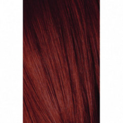 Schwarzkopf Igora Royal Color10 Permanent 10min Hair Colour 60ml6-88