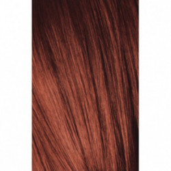 Schwarzkopf Igora Royal Color10 Permanent 10min Hair Colour 60ml5-7