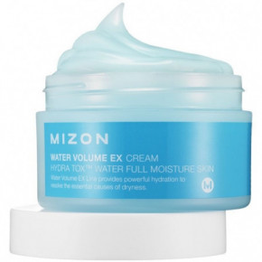 Mizon Water Volume Ex Cream 100ml