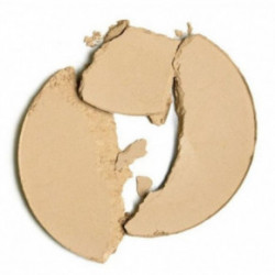 Paese Nanorevit Perfecting and Covering Powder 9g