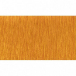 Indola Permanent Caring Color 60ml