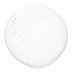 Paul mitchell Lavender Mint Moisturizing Shampoo 300ml
