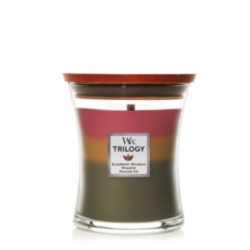 WoodWick Hearthside Foyer Candle Heartwick