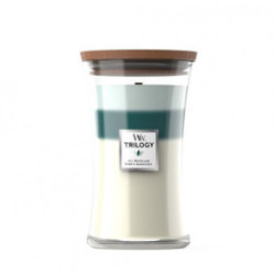 WoodWick Icy Woodland Candle Heartwick