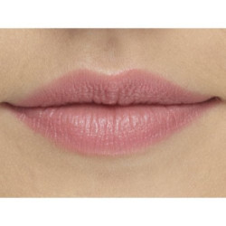 Isadora Perfect Moisture Lipstick 10 Bare Pink
