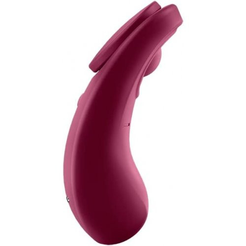 Satisfyer Sexy Secret Panty Vibrator Purple
