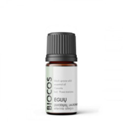 BIOCOS academy Black Spruce Essential Oil 5ml