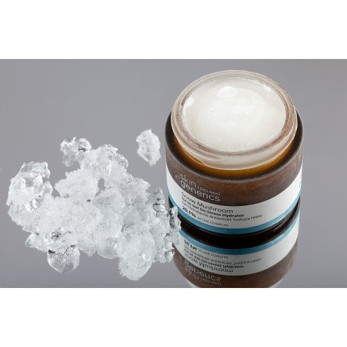 Skin Generics Snow Mushroom Ice to Gel De-Stress HydratorSnow Mushroom Ice to Gel De-Stress Hydrator 50ml