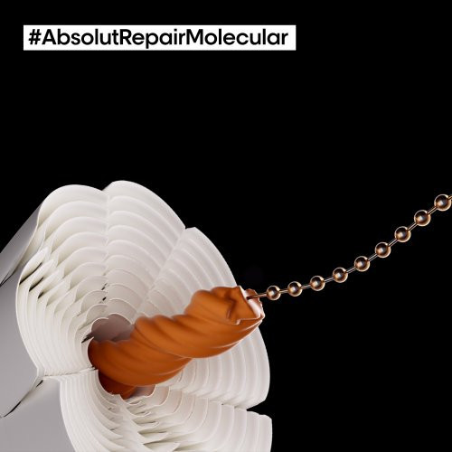 L'Oréal Professionnel Serie Expert Absolut Repair Molecular Kit Set
