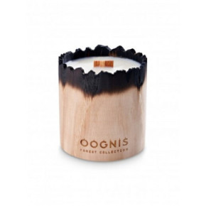 CandleHand Oognis Forest Collection Soy Wax Candle Tobacco Wood