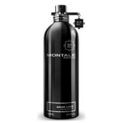 Montale Paris Aoud lime perfume atomizer for unisex EDP 5ml