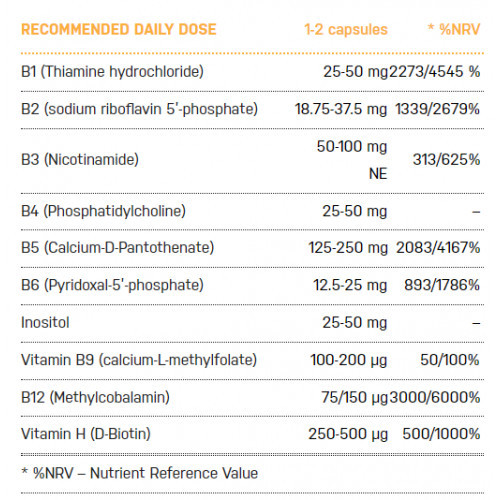 Ecosh Bioactive B-Complex 90 capsules