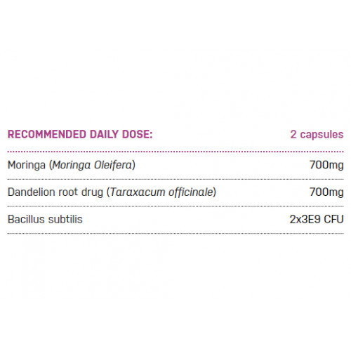 Ecosh Bacillus Subtilis + 90 capsules