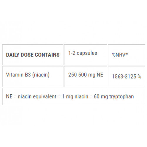 Ecosh Vitamin B3 Niacine Supplement 90 capsules